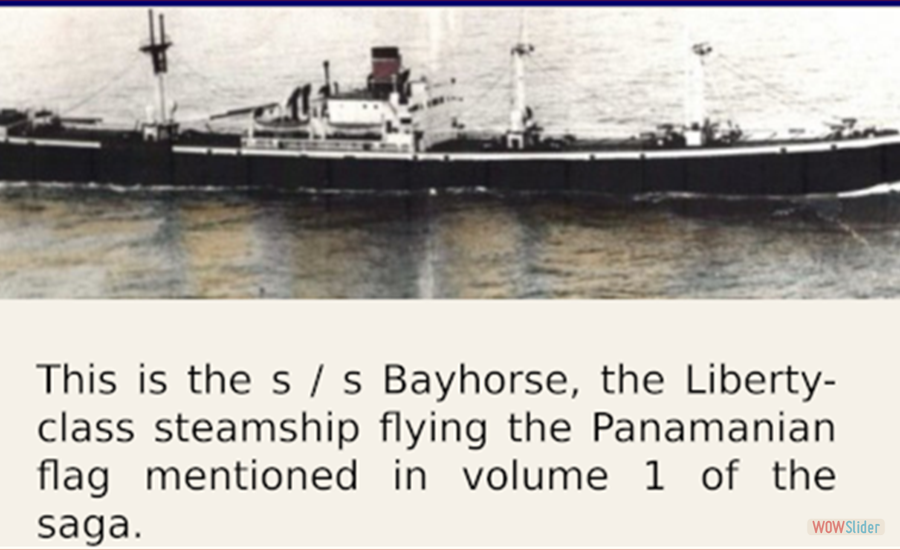 bayhorsestory